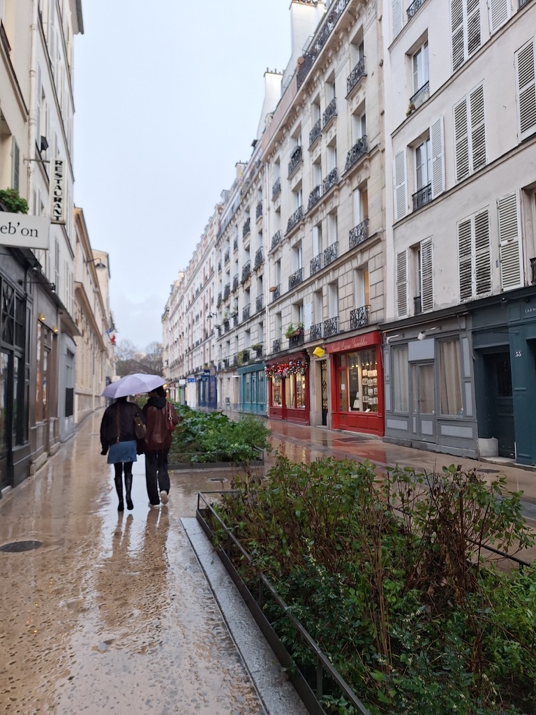 Erasmus+Paris 2026_10_Montmartre Umweltverschmutzung